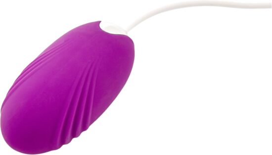 Purple Color 20 Speeds Silicone Vibrating Egg - Image 2