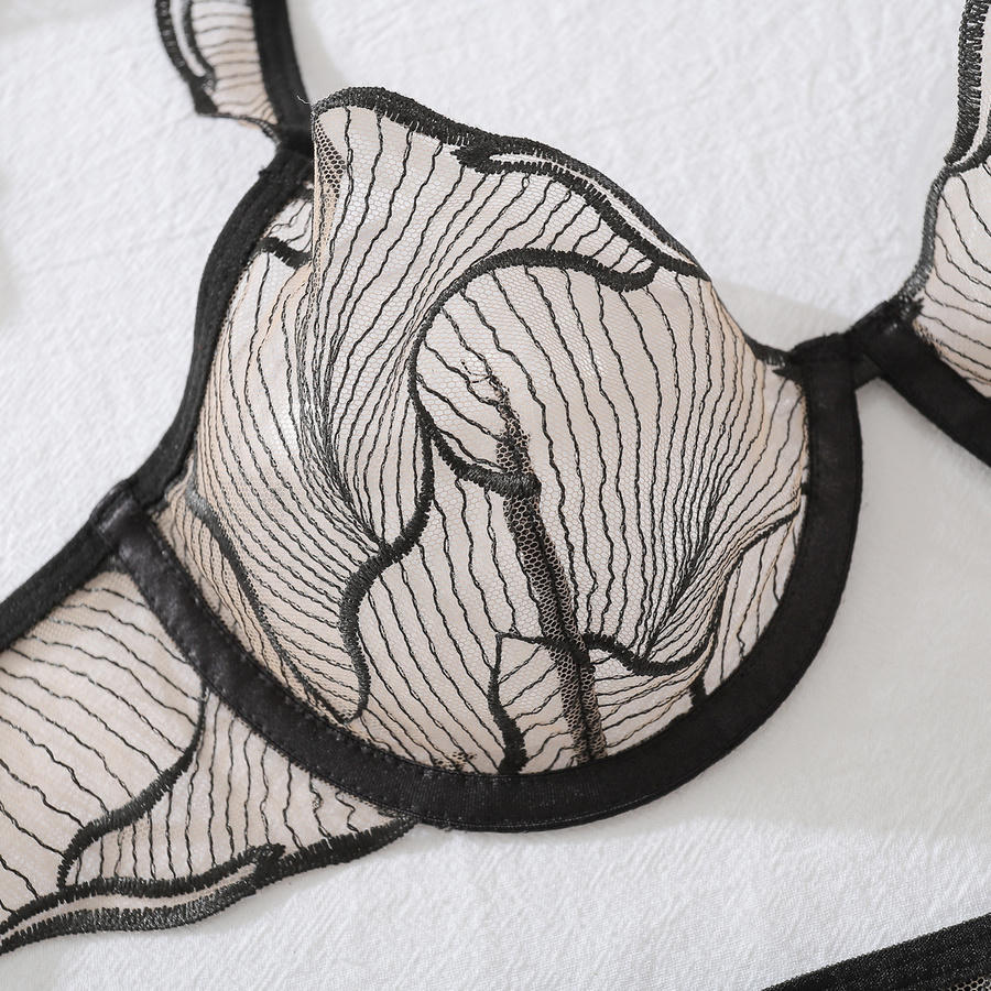 Sexy stretch see through mesh embroidery underwire bra & panty set - Image 6